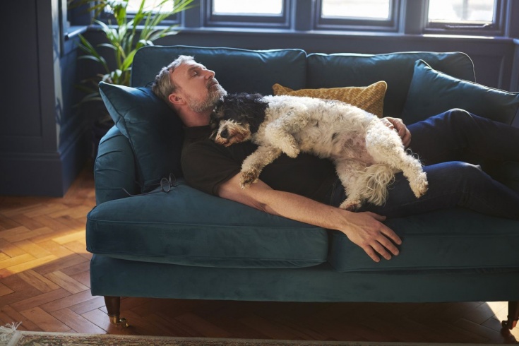 Эксперт по защите собак объяснил, можно ли брать питомцев в постель